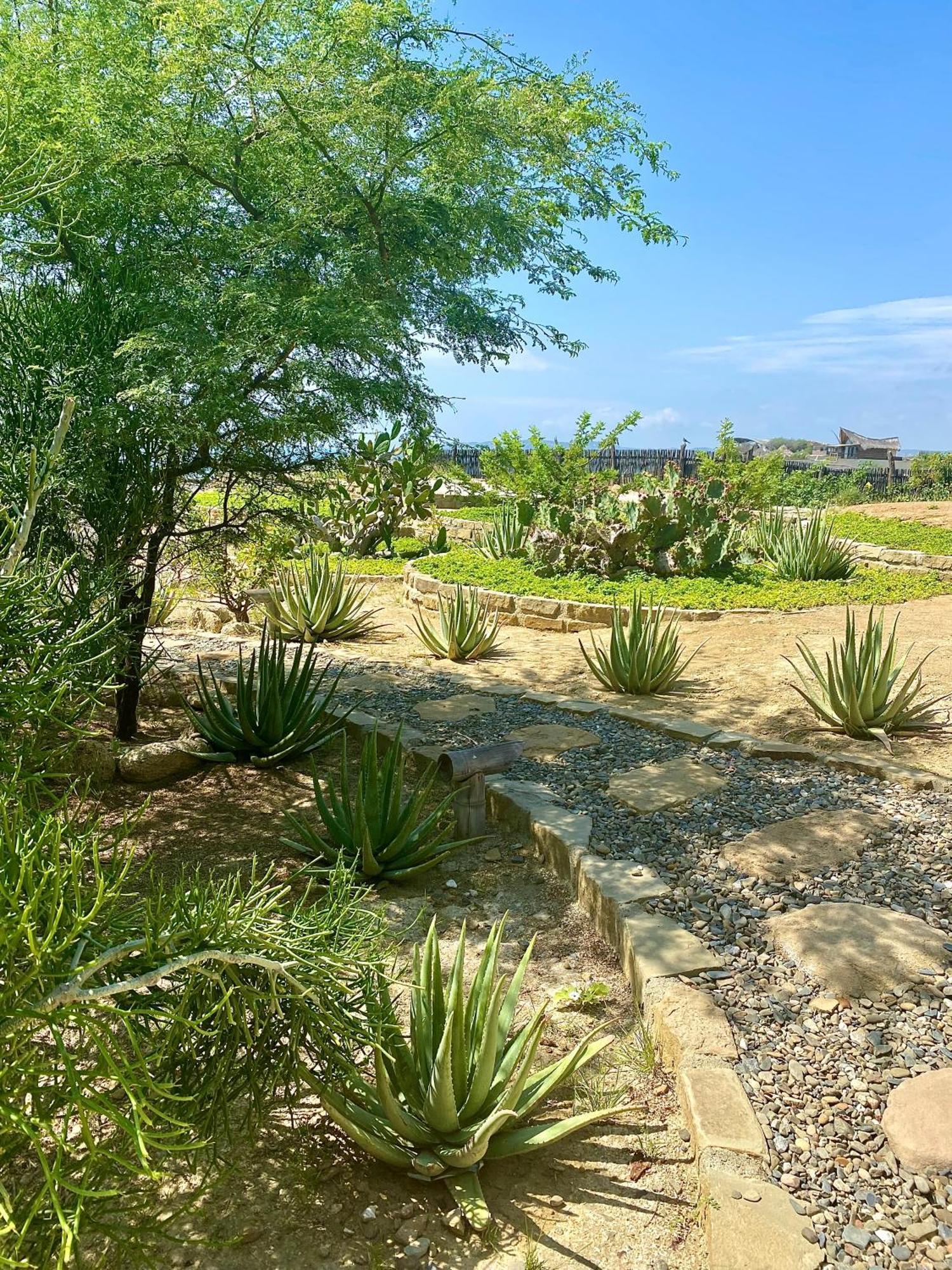La Playa Los Órganos Exterior foto